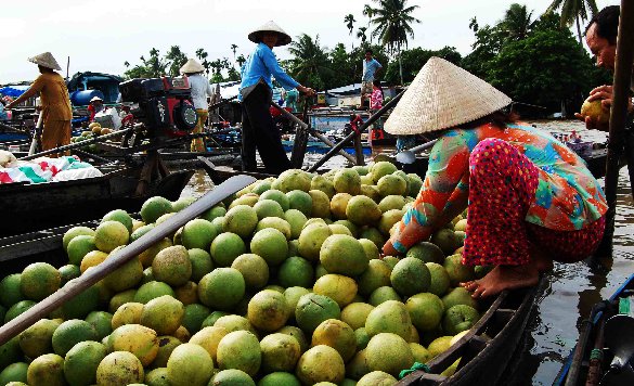 Pomelo vendor - Mekong, Vietnam