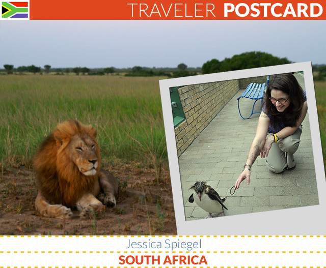 postcard-southafrica
