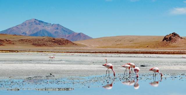 Laguna Hedionda II