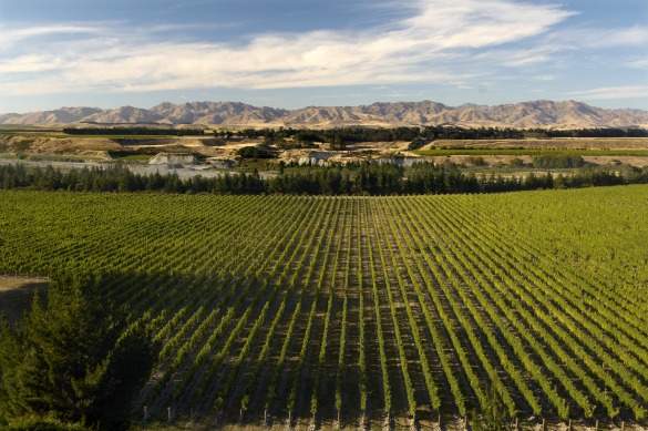 Marlborough