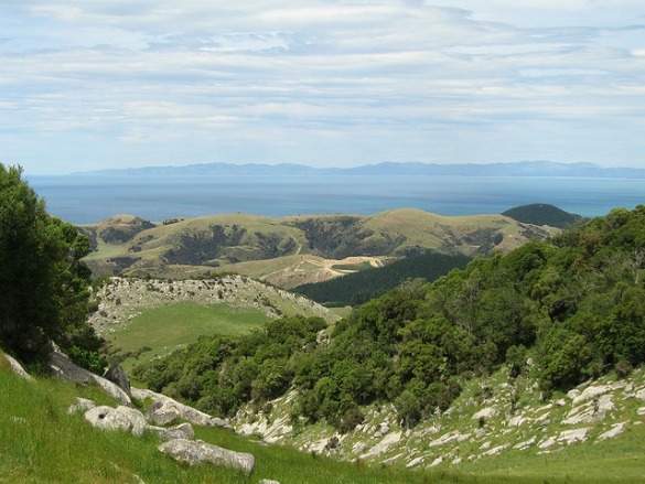 Waipara