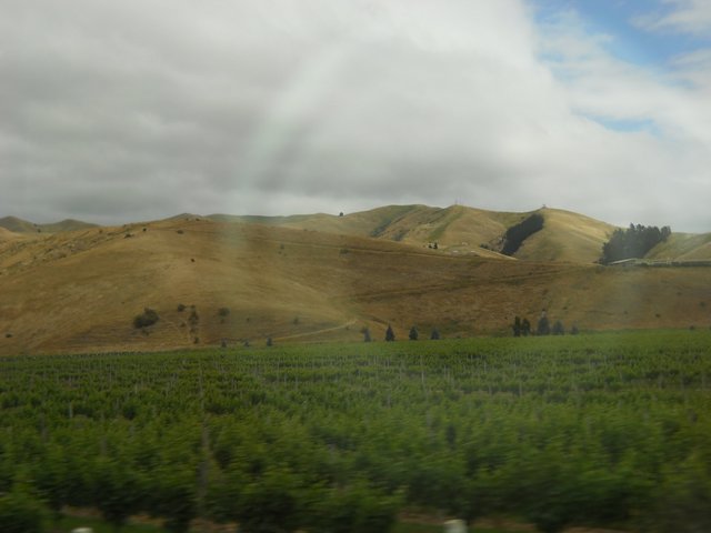 View from overlander rainbow2