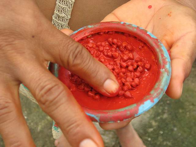 Huaorani Huong Viet Travel