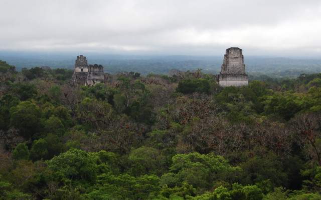 Tikal