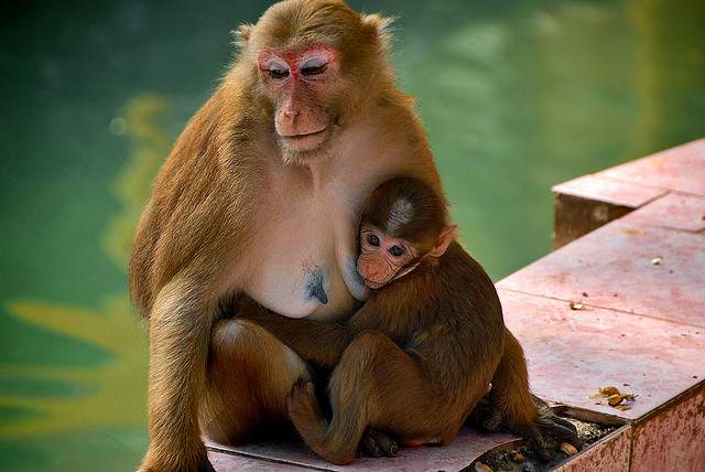 2. Chiang Rai Thailand Tours