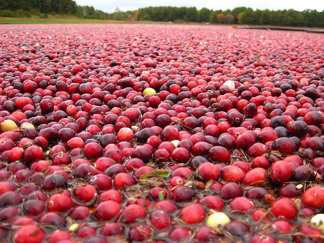 6 - Cranberries