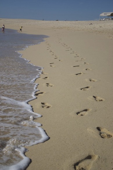 Take a Walk-389x585