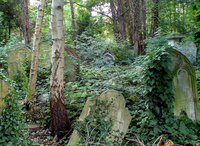 10. Abney Park