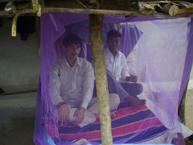 Mosquito net