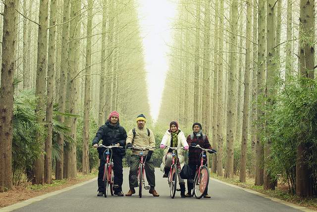 Family on bikes