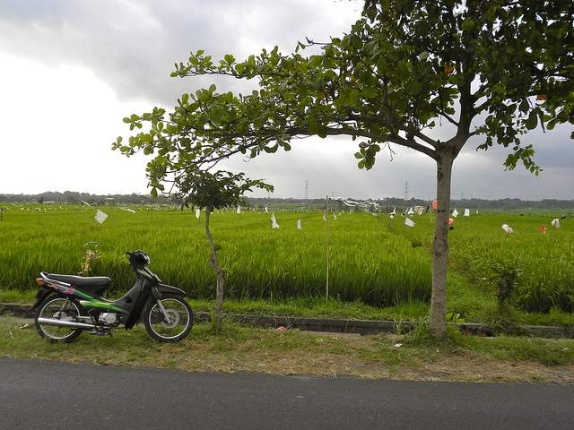 DSCN5669