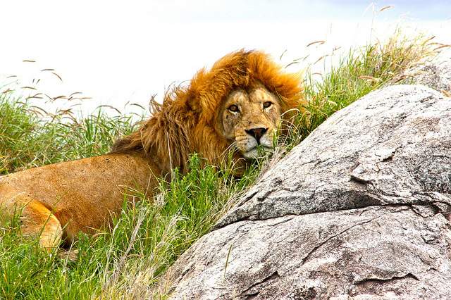 tanzania