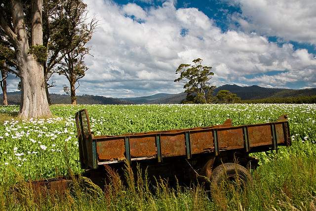 tasmania