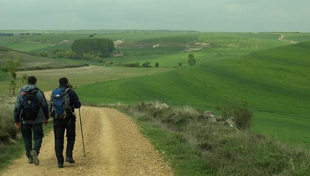 Pilgrims.jpg (640×364)