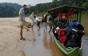 A Forest, Three Hundred Tigers and Me – Teman Negara National Park, Malaysia