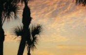 Club Med Sandpiper – Port St. Lucie, Florida