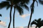 Paradise with Pockets of Reality – Maui, Hawaii, USA