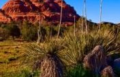 The Red Rocks of Sedona, Arizona – USA