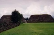 The Field Trip – Michoacan, Mexico