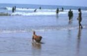 My Favourite Beaches of Goa – Goa, India