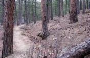 The Rockerville Flume Trail – South Dakota, USA