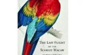 Book Review: The Last Flight of the Scarlet Macaw by Bruce Barcott – Belize, Central America