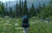 Alaskan Snapshot – Kenai Peninsula, Alaska, USA