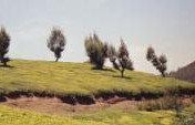Ooty – Queen of the Nilgiri Range – Ooty, India