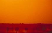 Makgadikgadi Pans National Park & Adjoining Salt Pans, Botswana …