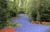 Amsterdam, The Netherlands: Things to See & Do
