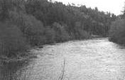 McKenzie Highway – Lane County, Western Oregon