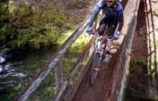 Biking Oregon’s McKenzie River Trail – Willamette National Forest