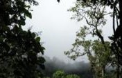 A Weekend in Mindo – Ecuador, South America