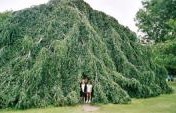 5 Great Parks in Europe for Families