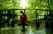 8 Movies That Inspire Travel