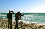 8 Movies That Inspire Travel