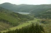 The Gwiber in the Taff – Wales, United Kingdom