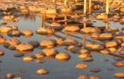 Camping in Western Australia’s National Parks