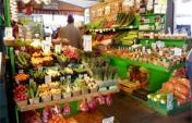 The Best French Food May Not be in France: A Culinary Tour of Quebec