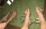 Five of the Weirdest Things in Korea