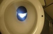Ten Toilets You’ll Meet on Your Travels (and how to cope with them)