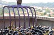 Six Places in Europe You’ve Never Thought of to Go Wine Tasting