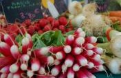 Markets of Europe: In Photos