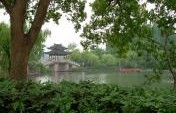 Hangzhou, More Than a Good Cup of Joe – Hangzhou, China