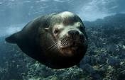 12 Best Places in the World to Learn About Marine Life