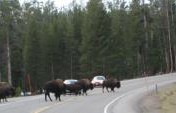7 Reasons Why You Should Go on a Road Trip Now