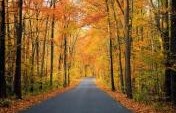7 Great American Road Trips for a Long Weekend