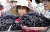 10 Weird Food Delicacies From Around the World