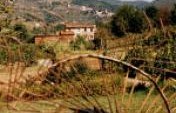 City Girl on a Small Farm in Tuscany – Tuscany, Italy