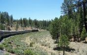 7 Best American Train Trips Less Than $100